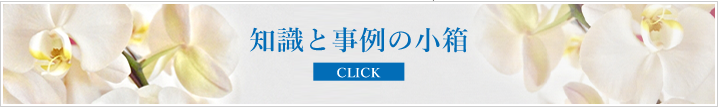 知識と事例の小箱